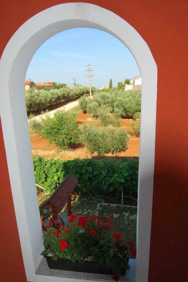 Apartma Jelka Novigrad  Exterior photo
