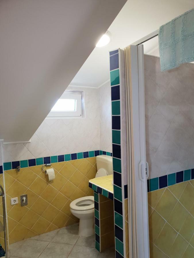 Apartma Jelka Novigrad  Exterior photo