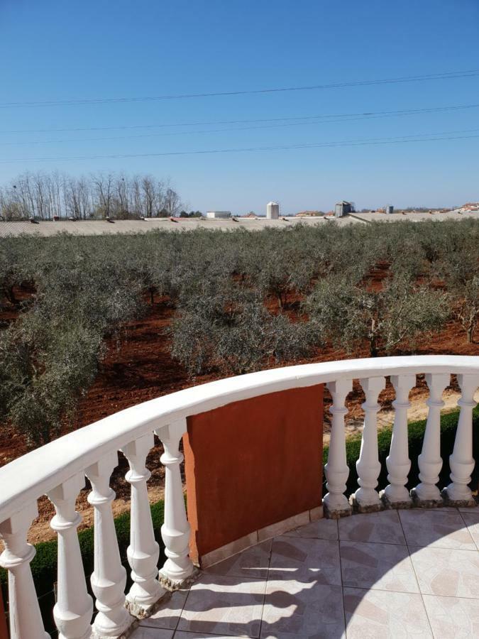 Apartma Jelka Novigrad  Exterior photo
